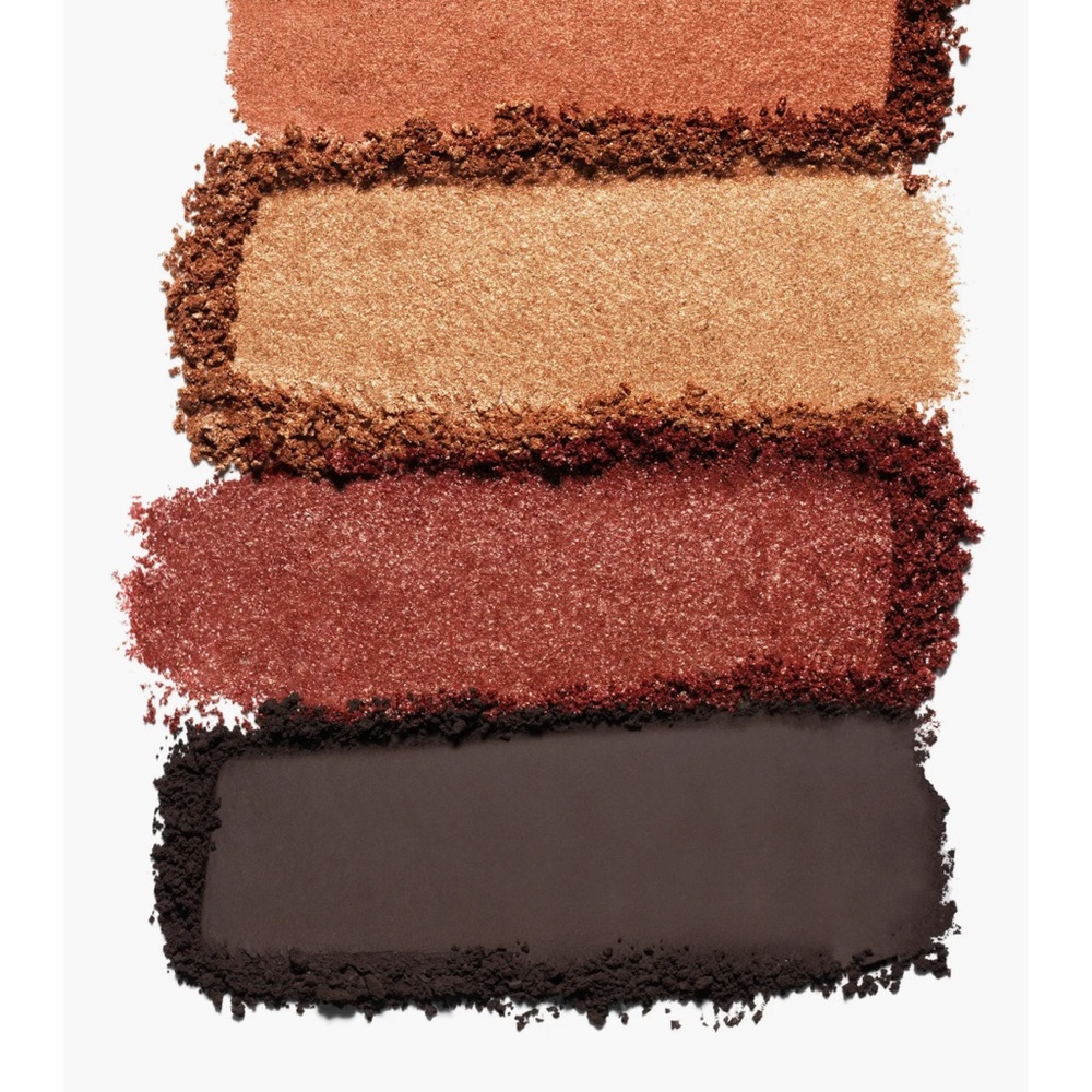 Estée Lauder Pure Color Envy Eyeshadow Quad 08 Wild Earth NIB - Picture 6 of 8